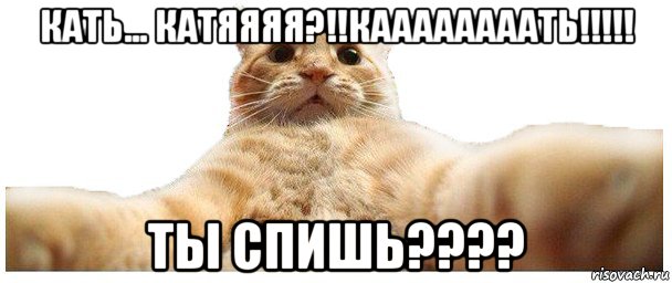 кать... катяяяя?!!каааааааать!!!!! ты спишь????, Мем   Кэтсвилл