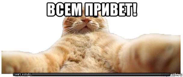 всем привет! гоните колбасу!!!!!!!!!!!!!!!!!!!!!!!!!!!!!!!!!!!!!!!!!!!!!!!!!!!!!!!!!!!!!!!!!!!!!!!!!!!!!!!!!!!!!!!!!!!!!!!!!!!!!!!!!!!!!!!!!!!!!!!!!!!!!!!!!!!!!!!!!!!!!!!!!!!!!!!!!!!!!!!!!!!!!!!!!!!!!!!!!!!!!!!!!!!!!!!!!!!!!!!!!!!!!!!!!!!!!!!!!!!!!!!!!!!!!, Мем   Кэтсвилл