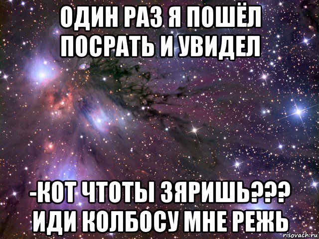 один раз я пошёл посрать и увидел -кот чтоты зяришь??? иди колбосу мне режь, Мем Космос