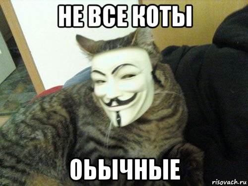 не все коты оьычные, Мем Кот анонимус