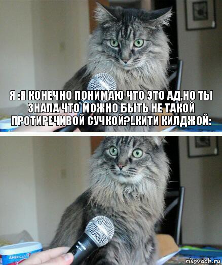 Я :Я КОНЕЧНО ПОНИМАЮ ЧТО ЭТО АД,НО ТЫ ЗНАЛА ЧТО МОЖНО БЫТЬ НЕ ТАКОЙ ПРОТИРЕЧИВОЙ СУЧКОЙ?!.КИТИ КИЛДЖОЙ: , Комикс  кот с микрофоном