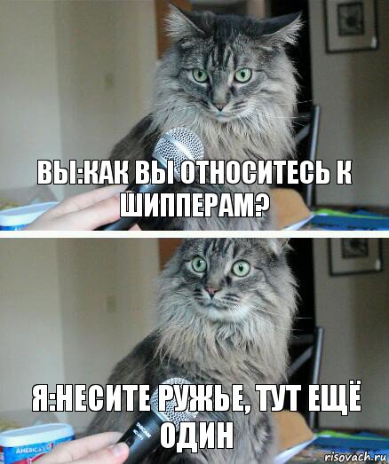 Вы:Как вы относитесь к шипперам? Я:Несите ружье, тут ещё один, Комикс  кот с микрофоном