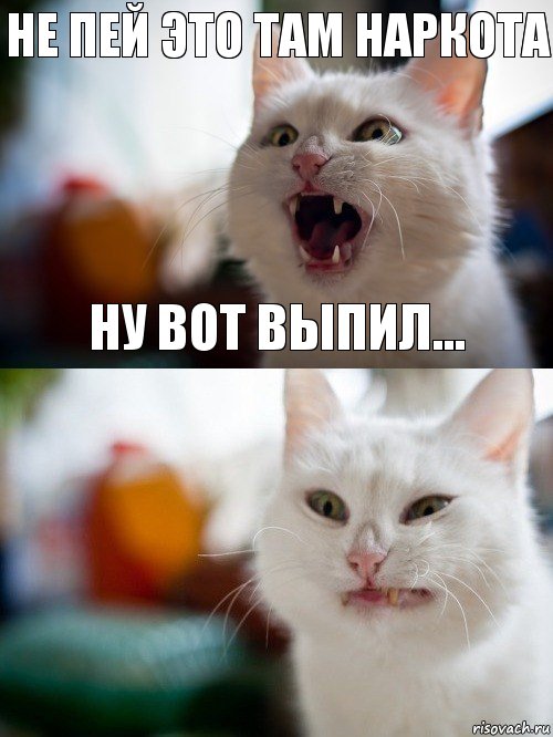 Не пей это там наркота ну вот выпил...