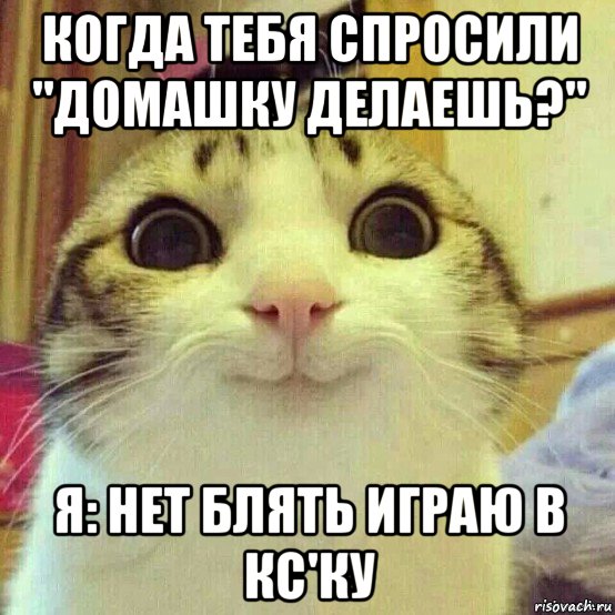 когда тебя спросили "домашку делаешь?" я: нет блять играю в кс'ку, Мем       Котяка-улыбака