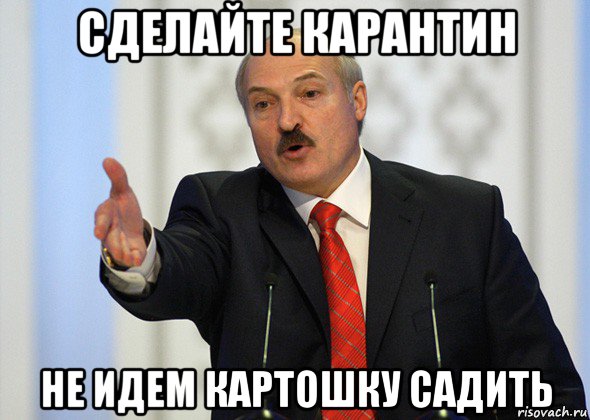 сделайте карантин не идем картошку садить, Мем лукашенко