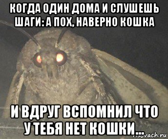 когда один дома и слушешь шаги: а пох, наверно кошка и вдруг вспомнил что у тебя нет кошки..., Мем Матылёк