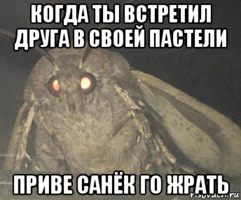 когда ты встретил друга в своей пастели приве санёк го жрать, Мем Матылёк