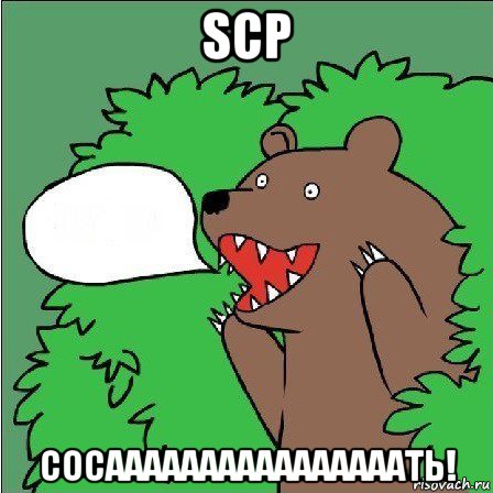 scp сосаааааааааааааааать!, Мем Медведь-шлюха