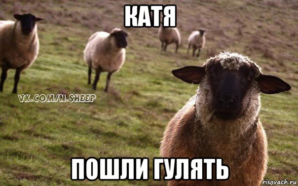 катя пошли гулять, Мем  Наивная Овца