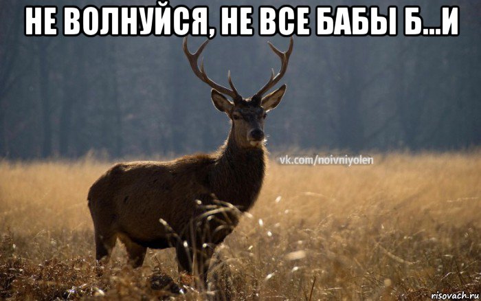 не волнуйся, не все бабы б...и 