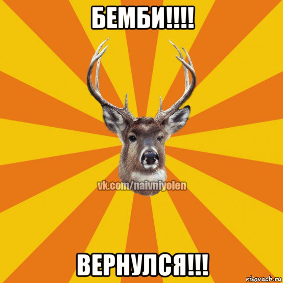 бемби!!!! вернулся!!!, Мем Наивный Олень вк