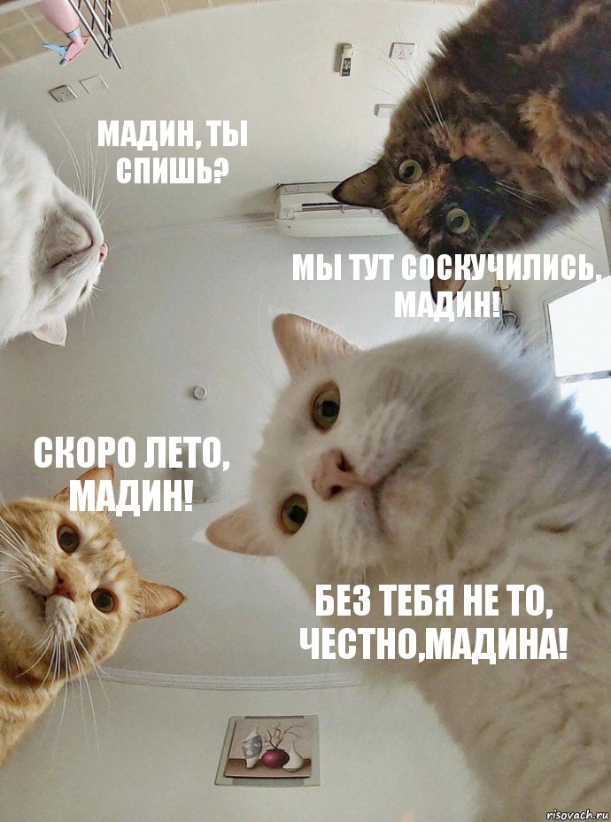 Мадин, ты спишь? Мы тут соскучились, Мадин! Скоро лето, Мадин! Без тебя не то, честно,Мадина!, Комикс  Наташа мы все уронили