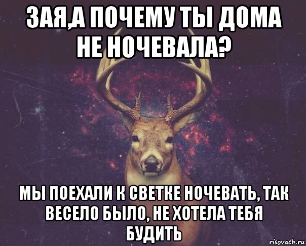 зая,а почему ты дома не ночевала? мы поехали к светке ночевать, так весело было, не хотела тебя будить, Мем  олень наивный