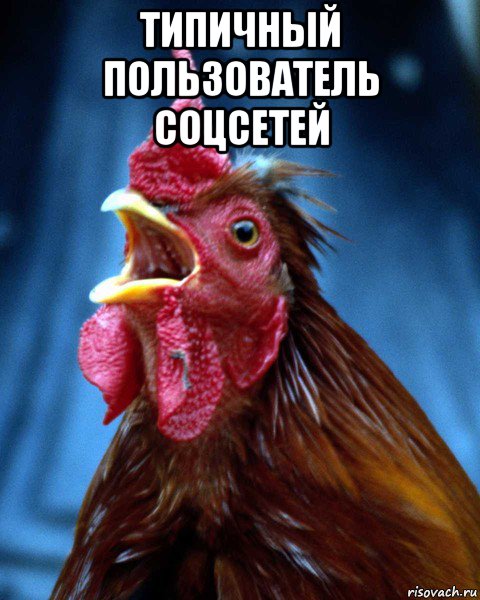 типичный пользователь соцсетей 