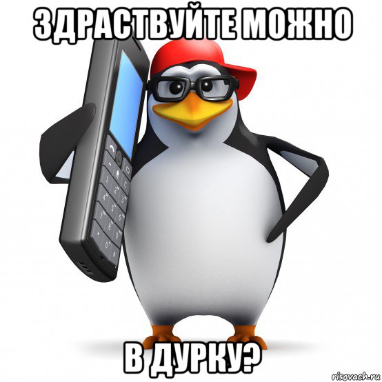 здраствуйте можно в дурку?, Мем   Пингвин звонит