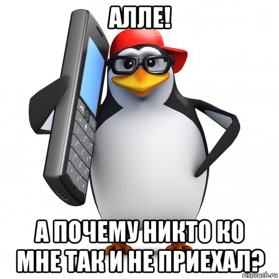 алле! а почему никто ко мне так и не приехал?, Мем   Пингвин звонит