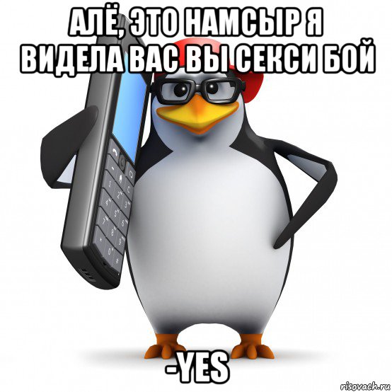 алё, это намсыр я видела вас вы секси бой -yes, Мем   Пингвин звонит