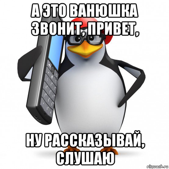 а это ванюшка звонит, привет, ну рассказывай, слушаю, Мем   Пингвин звонит