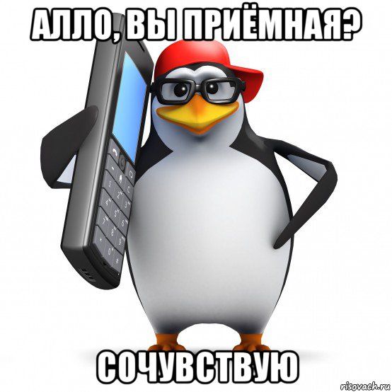 алло, вы приёмная? сочувствую, Мем   Пингвин звонит