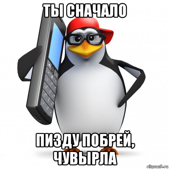 ты сначало пизду побрей, чувырла, Мем   Пингвин звонит