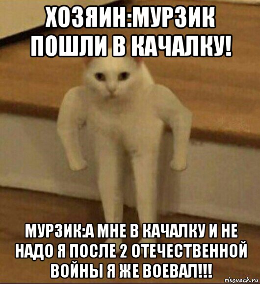 хозяин:мурзик пошли в качалку! мурзик:а мне в качалку и не надо я после 2 отечественной войны я же воевал!!!, Мем  Полукот