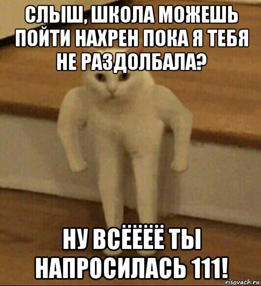 слыш, школа можешь пойти нахрен пока я тебя не раздолбала? ну всёёёё ты напросилась 111!, Мем  Полукот