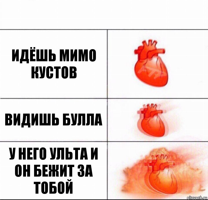 Идёшь мимо кустов Видишь булла У него ульта и он бежит за тобой, Комикс  Расширяюшее сердце