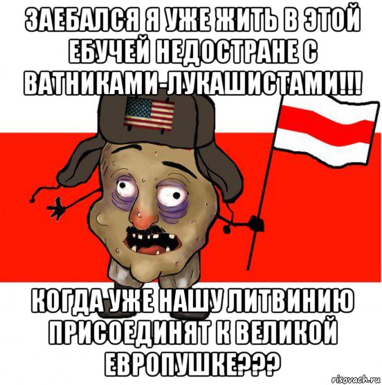 заебался я уже жить в этой ебучей недостране с ватниками-лукашистами!!! когда уже нашу литвинию присоединят к великой европушке???, Мем  свидомит