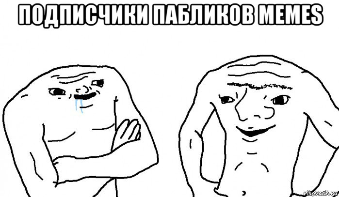 подписчики пабликов memes 