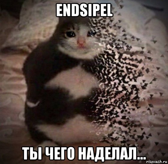 endsipel ты чего наделал...