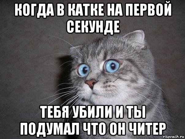 когда в катке на первой секунде тебя убили и ты подумал что он читер, Мем  удивлённый кот