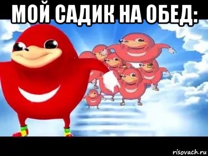 мой садик на обед: 