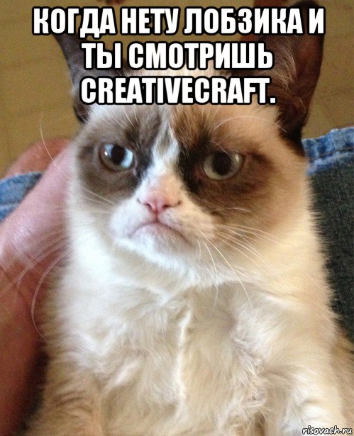 когда нету лобзика и ты смотришь creativecraft. , Мем Угрюмый кот