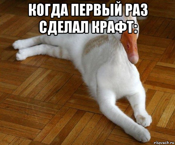когда первый раз сделал крафт: , Мем Уткокот