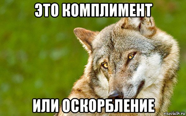 это комплимент или оскорбление, Мем   Volf