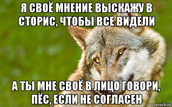 я своё мнение выскажу в сторис, чтобы все видели а ты мне своё в лицо говори, пёс, если не согласен, Мем   Volf