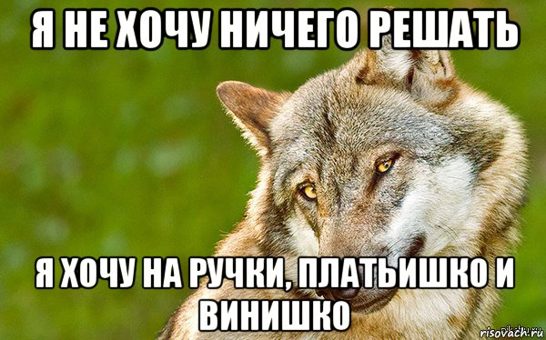 я не хочу ничего решать я хочу на ручки, платьишко и винишко, Мем   Volf