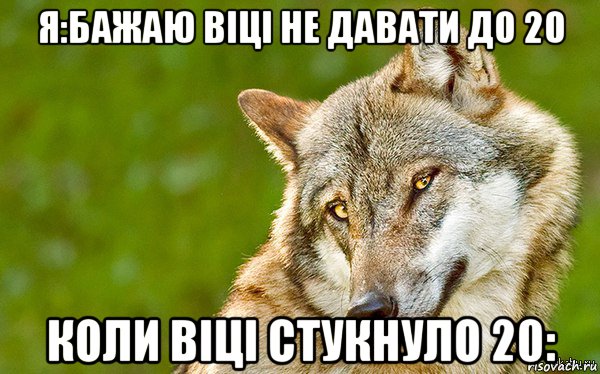 я:бажаю віці не давати до 20 коли віці стукнуло 20:, Мем   Volf