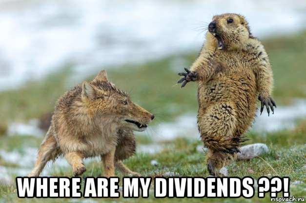  where are my dividends ??!, Мем Волк и суслик