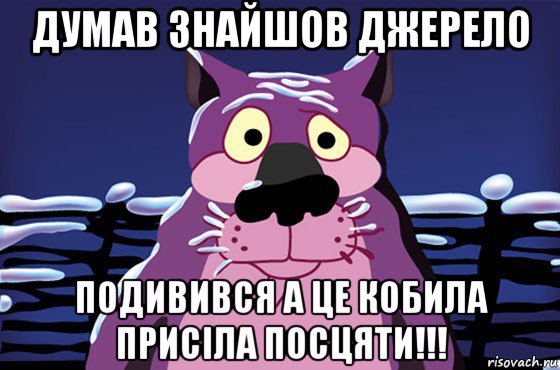 думав знайшов джерело подивився а це кобила присіла посцяти!!!, Мем Волк