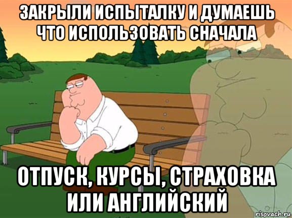 закрыли испыталку и думаешь что использовать сначала отпуск, курсы, страховка или английский, Мем Задумчивый Гриффин