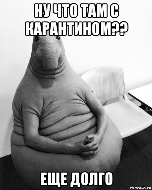 ну что там с карантином?? еще долго