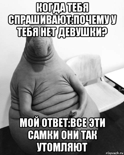 когда тебя спрашивают:почему у тебя нет девушки? мой ответ:все эти самки они так утомляют, Мем  Ждун