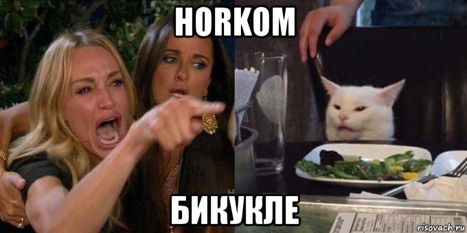 horkom бикукле, Мем Женщина орёт на кота