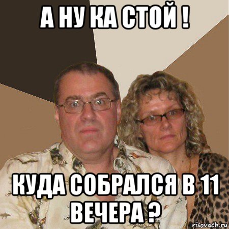 а ну ка стой ! куда собрался в 11 вечера ?, Мем  Злые родители