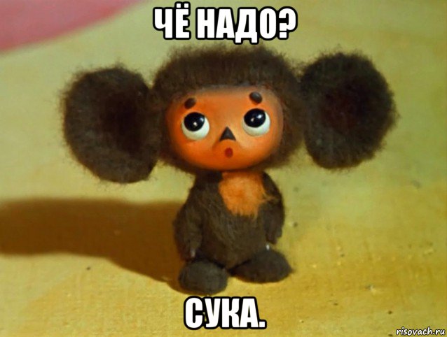 чё надо? сука., Мем чебурашка