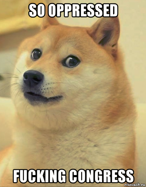 so oppressed fucking congress, Мем doge woof