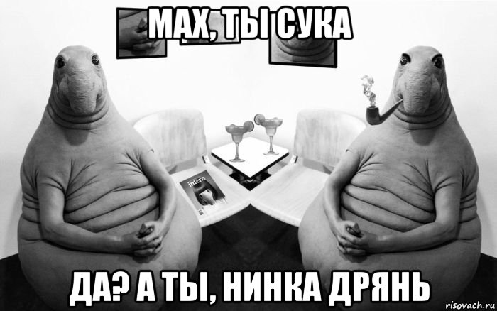 мах, ты сука да? а ты, нинка дрянь