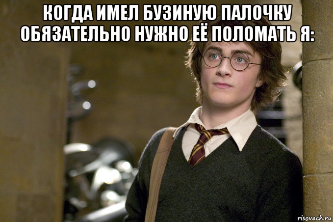 когда имел бузиную палочку обязательно нужно её поломать я: , Мем Гарри Поттер в школе