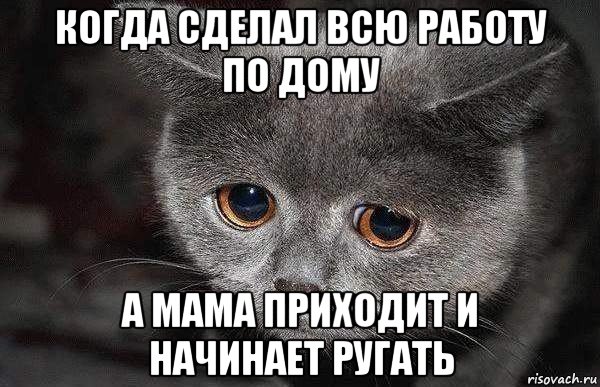 когда сделал всю работу по дому а мама приходит и начинает ругать, Мем  Грустный кот